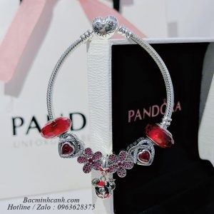 vong-tay-pandora-mix-charm-hoa-5-canh-pa002-300x300 